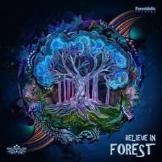 Believe In Forest mp3 Compilation by Various Artists