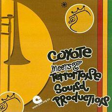 Terrortone Sound Production mp3 Album by Coyote meets Jerry Lions