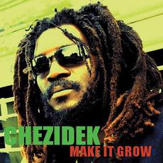 Make It Grow mp3 Single by Chezidek