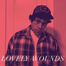 Lovely Wounds mp3 Album by JayteKz