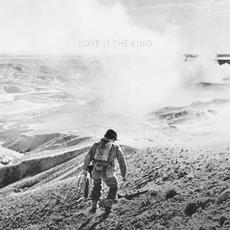 Love Is the King mp3 Album by Jeff Tweedy