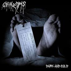 Dark and cold mp3 Album by Garagedays