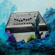 Into The Deep Ocean mp3 Album by Funkonami