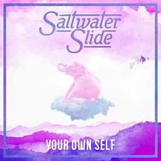 Your Own Self mp3 Single by Saltwater Slide