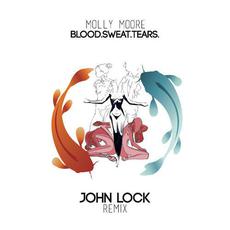 Blood. Sweat. Tears. mp3 Single by Molly Moore