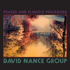 Peaced and Slightly Pulverized mp3 Album by David Nance