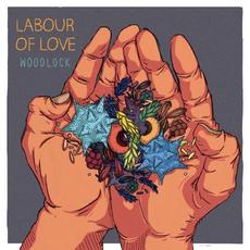 Labour of Love mp3 Album by Woodlock