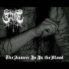 The Answer Is in the Blood mp3 Album by Kill Me