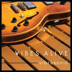 Vibrasonic mp3 Album by Vibes Alive