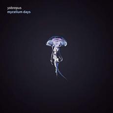 Mycelium Days mp3 Album by Yobrepus