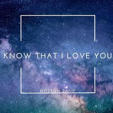 Know That I Love You mp3 Single by Nosson Zand