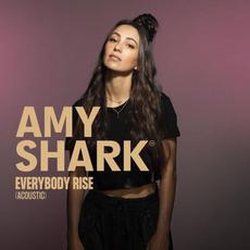 Everybody Rise (acoustic) mp3 Single by Amy Shark