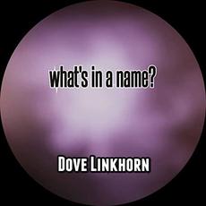 What's In A Name? mp3 Album by Dove Linkhorn