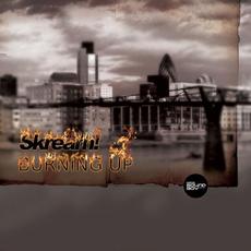 Burning Up mp3 Single by Skream