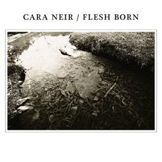 Cara Neir / Flesh Born mp3 Compilation by Various Artists