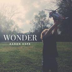 Wonder mp3 Album by Aaron Espe
