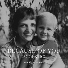 Because of You (Acoustic) mp3 Single by Aaron Espe