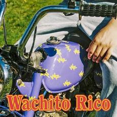 Wachito Rico mp3 Album by boy pablo