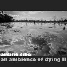 An Ambience of Dying II mp3 Album by Arsine Tibe
