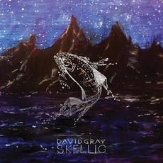 Skellig mp3 Album by David Gray