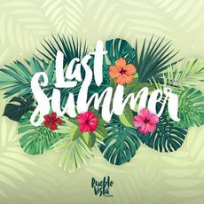 Last Summer: MMXVIII: Lo-Fi Anthology mp3 Album by Pueblo Vista