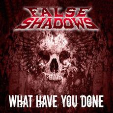 What Have You Done mp3 Single by False Shadows