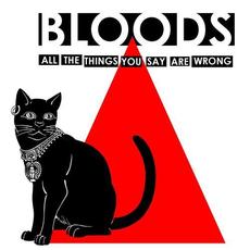 All the Things You Say Are Wrong mp3 Single by Bloods