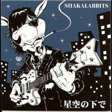 星空の下で / 「ポビーとディンガン」 mp3 Single by SHAKALABBITS