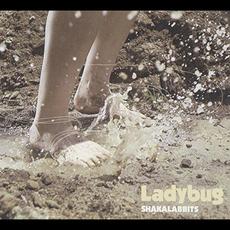 Ladybug mp3 Single by SHAKALABBITS