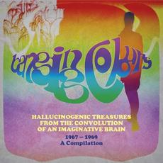 Hallucinogenic Treasures From The Convolution Of An Imaginative Brain mp3 Artist Compilation by Banging Colours