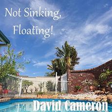 Not Sinking, Floating! mp3 Album by David Cameron