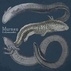 Salamander mp3 Album by Murnau