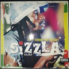 Ain't Gonna See Us Fall mp3 Album by Sizzla