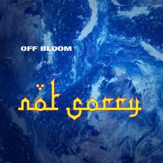 Not Sorry mp3 Single by Off Bloom