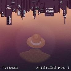 Afterlife Vol. 1 mp3 Album by Turkuaz