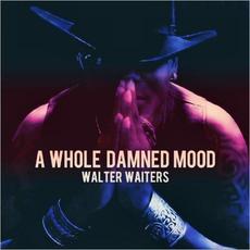 A Whole Damned Mood mp3 Album by Walter Waiters