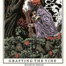 Beneath the Redwood mp3 Album by Grafting the Vine