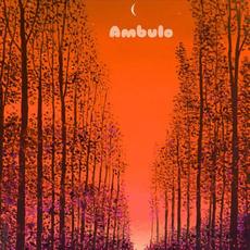We're in Night Skies mp3 Single by Ambulo