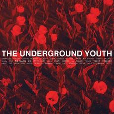 The Falling mp3 Album by The Underground Youth