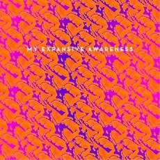 Do You Wanna Be Rich? / I'm Dead mp3 Single by My Expansive Awareness