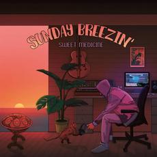 EXPEDITion 100 Vol.6: Sunday Breezin' mp3 Album by Sweet Medicine