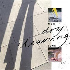 New Long Leg mp3 Album by Dry Cleaning
