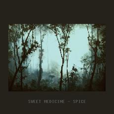 Spice mp3 Single by Sweet Medicine