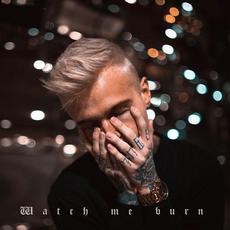 Watch Me Burn mp3 Single by PALESKIN