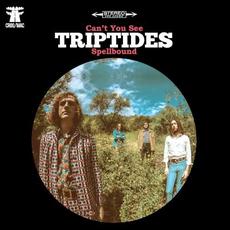 Can't You See mp3 Single by Triptides