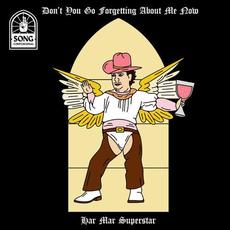 Don't You Go Forgetting About Me Now mp3 Single by Har Mar Superstar