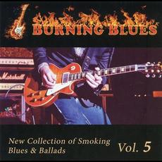Burning Blues vol.5 mp3 Compilation by Various Artists