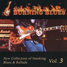 Burning Blues vol.3 mp3 Compilation by Various Artists