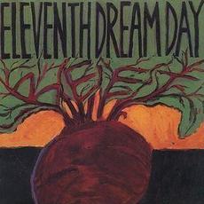 Beet mp3 Album by Eleventh Dream Day