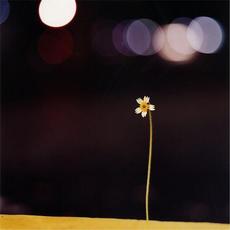 Gardens mp3 Album by Ryan Dugre